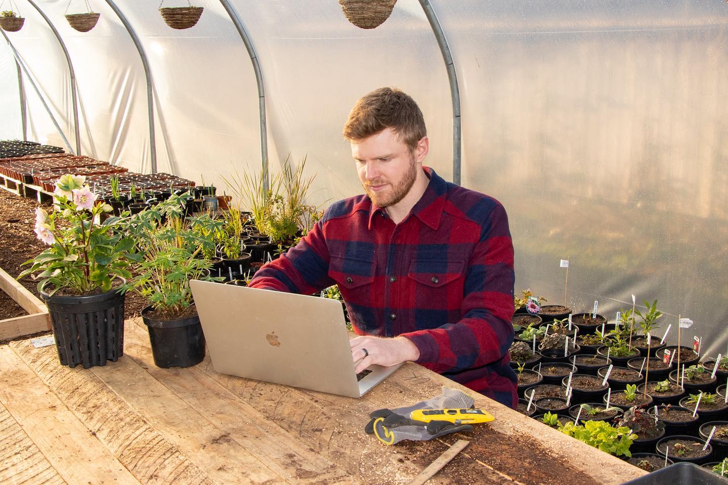 Nathan Cranston, Cranston Commerce founder, working on website development for Peachy Plants e-commerce business